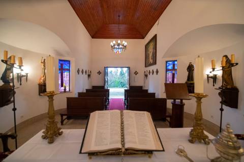 Quinta - Oliveira de Azeméis