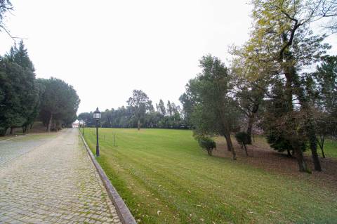 Quinta - Oliveira de Azeméis