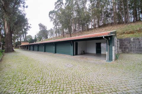 Quinta - Oliveira de Azeméis
