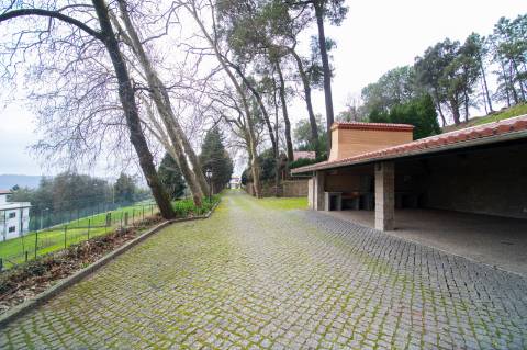 Quinta - Oliveira de Azeméis