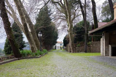 Quinta - Oliveira de Azeméis