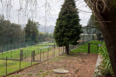 Quinta - Oliveira de Azeméis