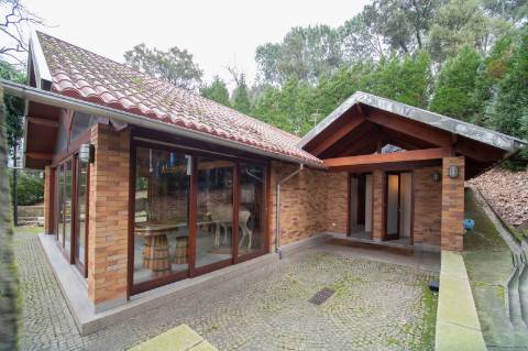 Quinta - Oliveira de Azeméis