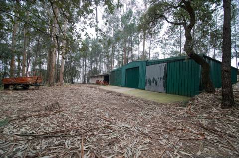 Quinta - Oliveira de Azeméis