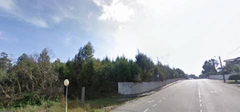 Terreno com 3,05ha, em Gião, Santa Maria da Feira