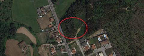 Terreno com 3,05ha, em Gião, Santa Maria da Feira