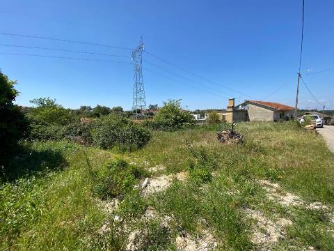 Terreno Rústico em Anadia