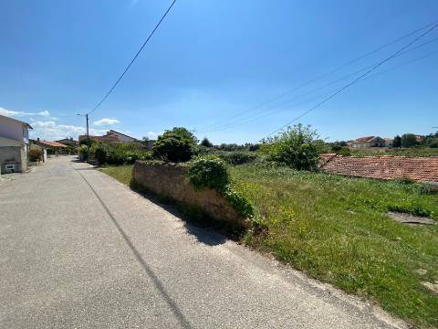 Terreno Rústico em Anadia