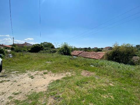 Terreno Rústico em Anadia