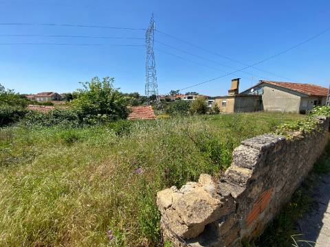 Terreno Rústico em Anadia