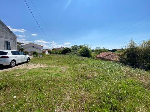 Terreno Rústico em Anadia