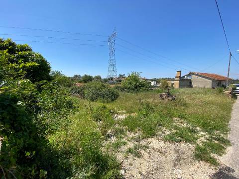 Terreno Rústico em Anadia