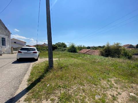 Terreno Rústico em Anadia