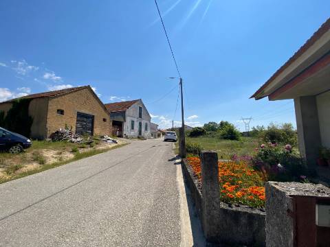 Terreno Rústico em Anadia