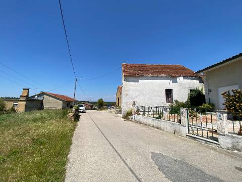 Terreno Rústico em Anadia