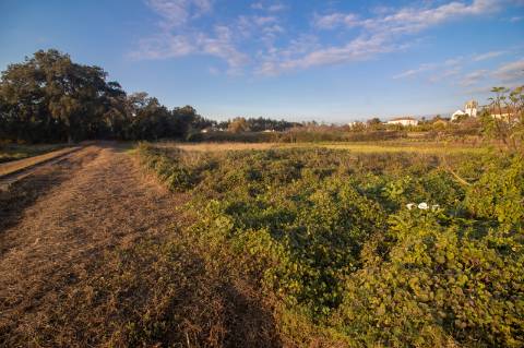 Terreno Rústico - Urbanizável
