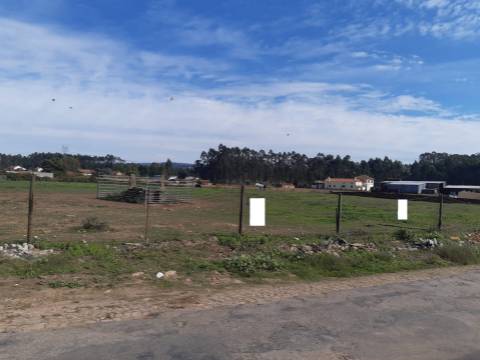 Terreno Urbano em Loureiro