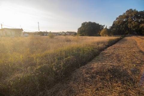 Terreno Rústico - Urbanizável