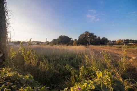 Terreno Rústico - Urbanizável
