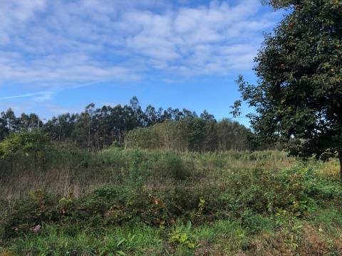 Loteamento Habitacional em Ovar