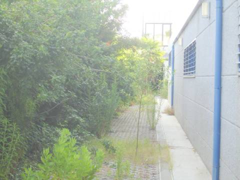 Edifício de Escritórios / Atividade industrial / Armazém em Cortegaça