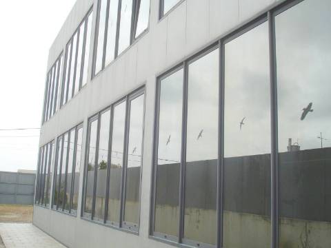 Edifício de Escritórios / Atividade industrial / Armazém em Cortegaça