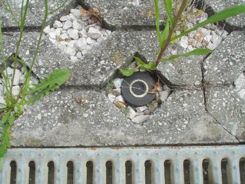 Edifício de Escritórios / Atividade industrial / Armazém em Cortegaça