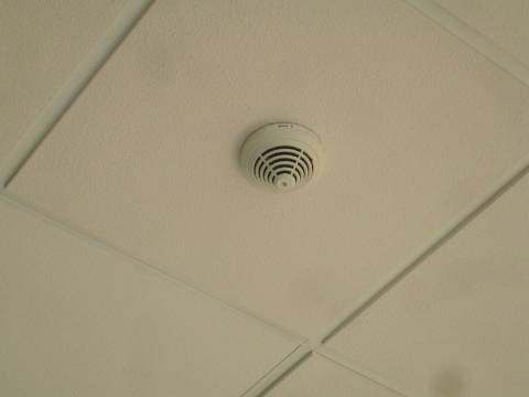 Edifício de Escritórios / Atividade industrial / Armazém em Cortegaça