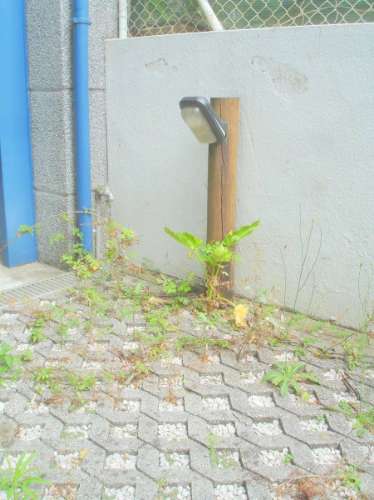 Edifício de Escritórios / Atividade industrial / Armazém em Cortegaça