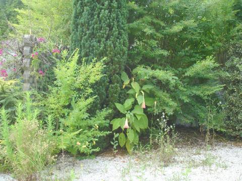 Edifício de Escritórios / Atividade industrial / Armazém em Cortegaça