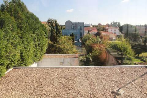 Edifício de Escritórios / Atividade industrial / Armazém em Cortegaça