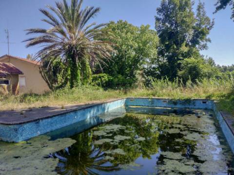 Quinta com 2 casas e 5 lotes de terreno em São João da Madeira