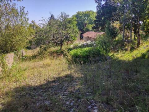 Quinta com 2 casas e 5 lotes de terreno em São João da Madeira