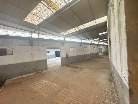 Pavilhão Industrial em Viseu