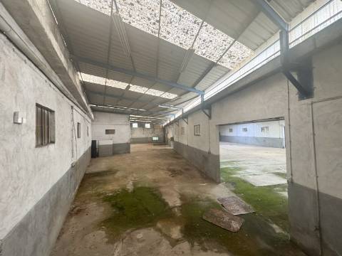 Pavilhão Industrial em Viseu