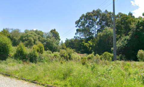 Terreno Rústico em Mozelos