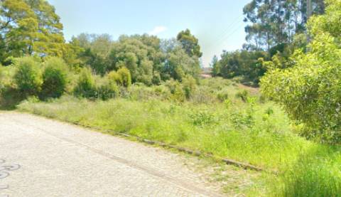 Terreno Rústico em Mozelos