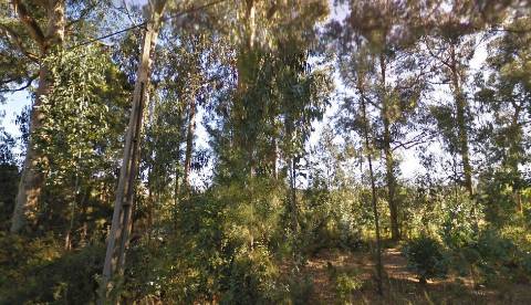 Terreno em Oliveira de Azeméis