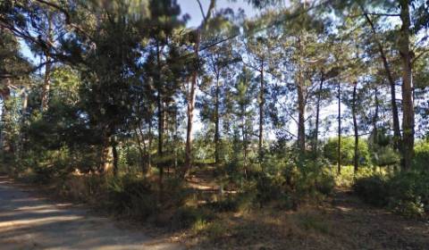 Terreno em Oliveira de Azeméis