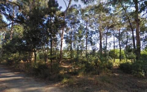 Terreno em Oliveira de Azeméis