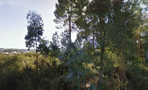 Terreno em Oliveira de Azeméis