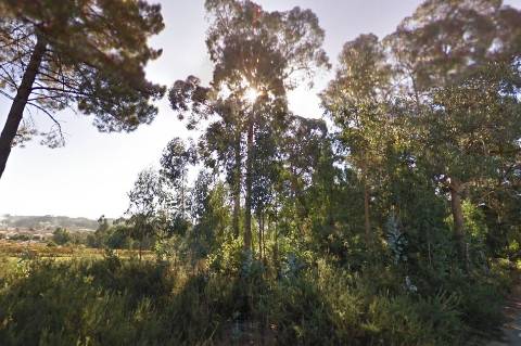 Terreno em Oliveira de Azeméis