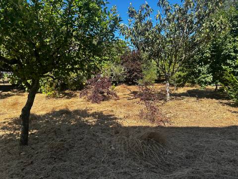 Terreno em Macieira de Sarnes