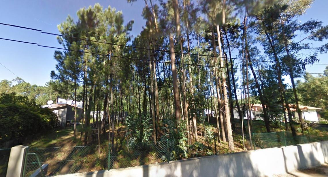 Terreno em Macieira de Sarnes