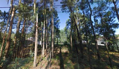 Terreno em Macieira de Sarnes