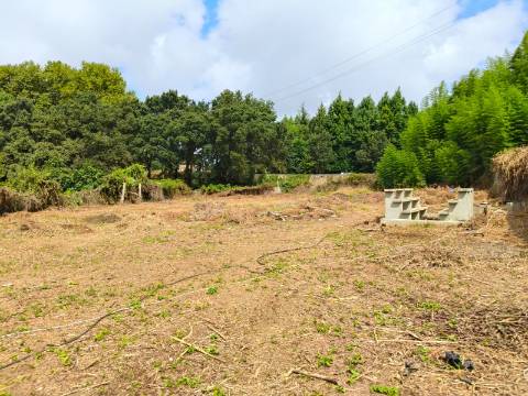 Moradia Isolada T3 em Santa Maria de Lamas