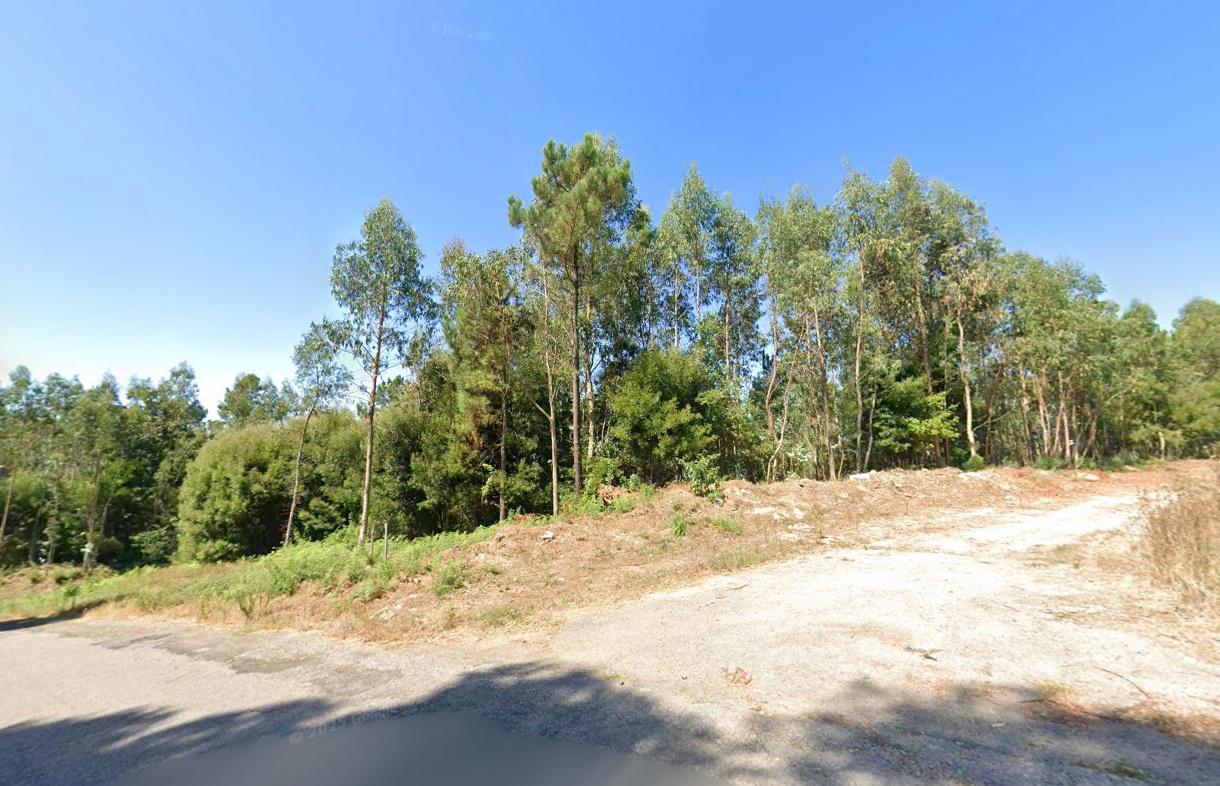 Terreno em S. Vicente de Pereira