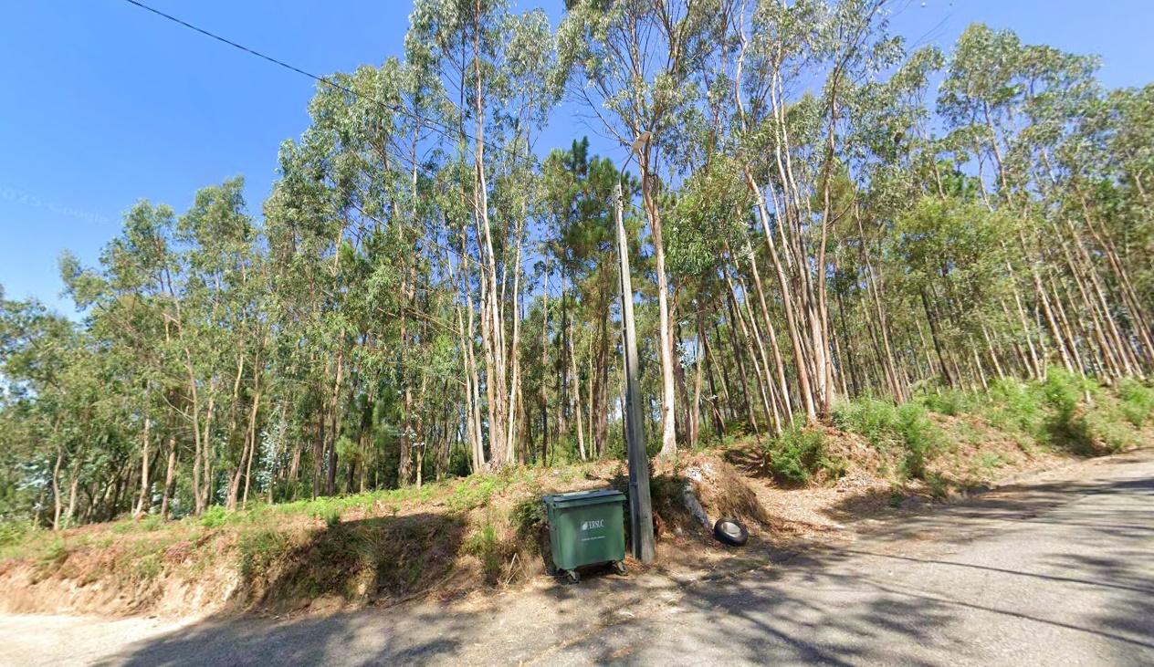 Terreno em S. Vicente de Pereira