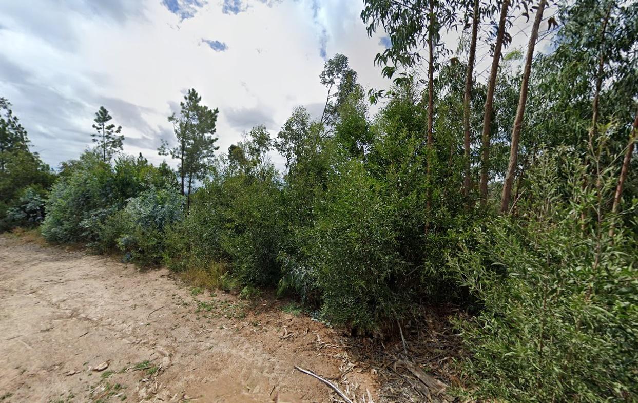 Terreno em S. Vicente de Pereira