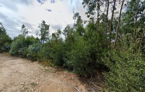 Terreno em S. Vicente de Pereira